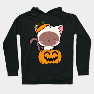 Funny white cat is in a pumpkin Hoodie